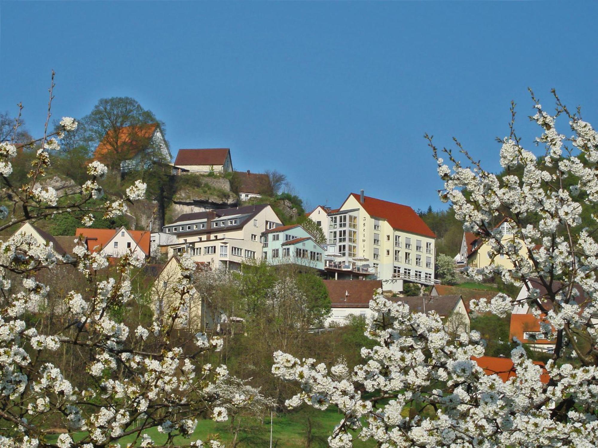 Berggasthof Hotel Igelwirt Шнайтах Екстериор снимка